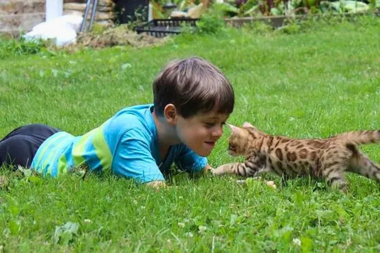 Are Bengal cats good with kids