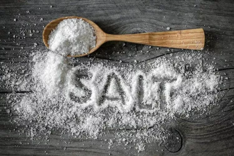Can cats eat salt