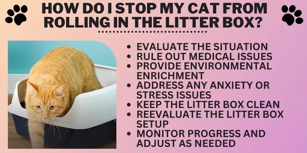 How do I stop my cat from rolling in the litter box