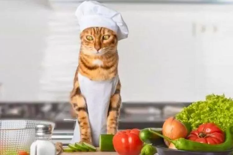 What vegetables are not toxic to cats