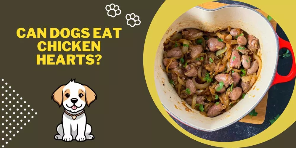 Can dogs eat chicken hearts
