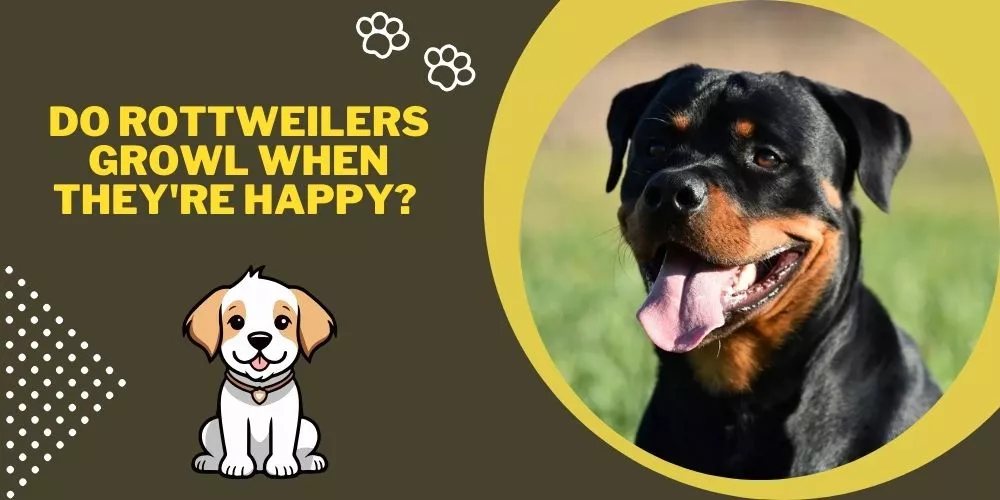 Do rottweilers growl when they're happy