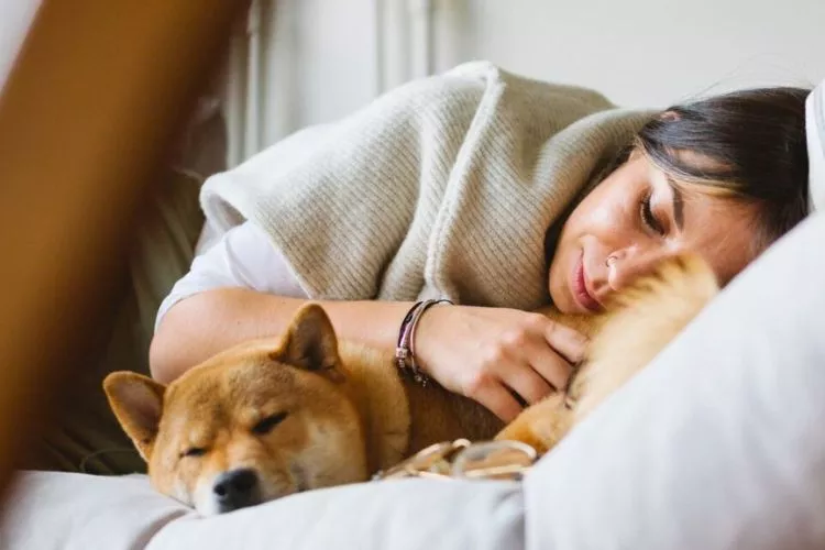 Improving Dog Sleep Hygiene- Enhancing Comfort and Sleep Quality