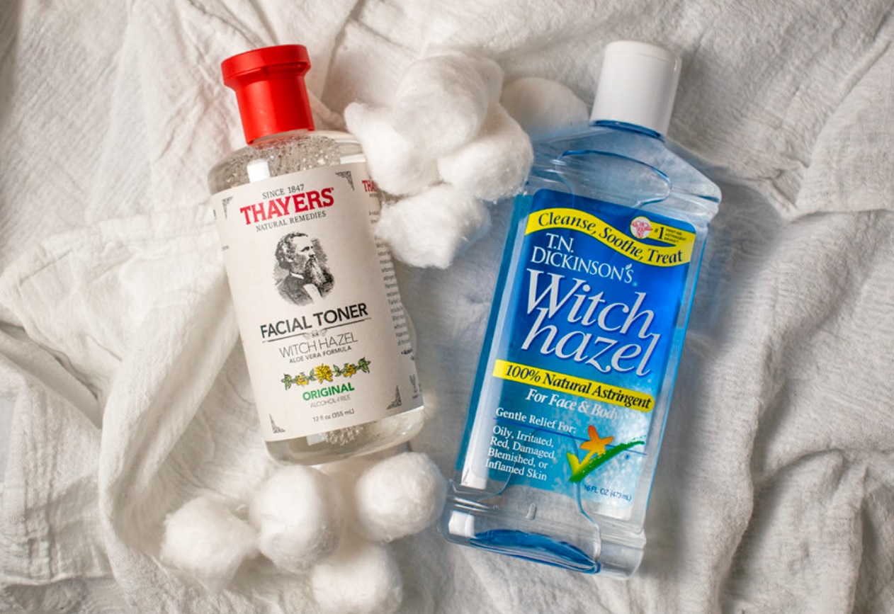 Is Witch Hazel Safe for Cats? effects of Witch Hazel on cats