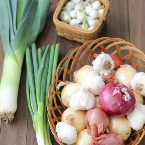 Onions, Garlic, and Other Alliums