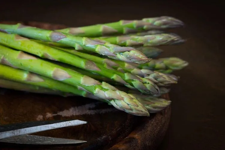 Can Parrots Eat Asparagus- Facts vs. Myths