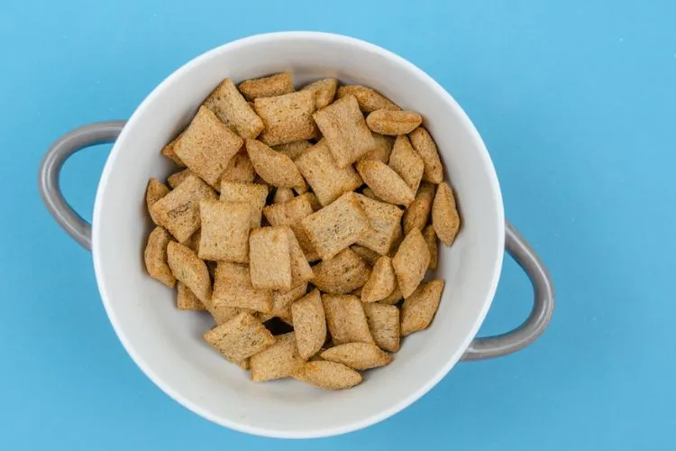 Can dogs eat croutons? All you need to know