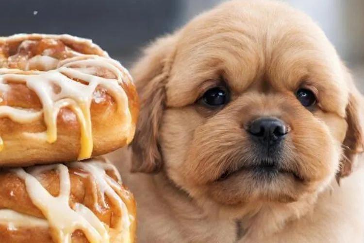 Can dogs eat honey buns? all you need to know