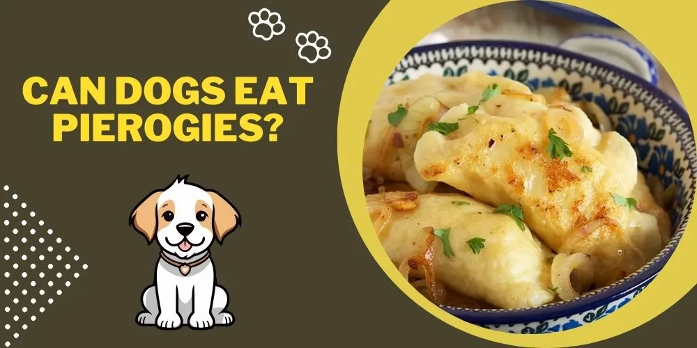 Can dogs eat pierogies