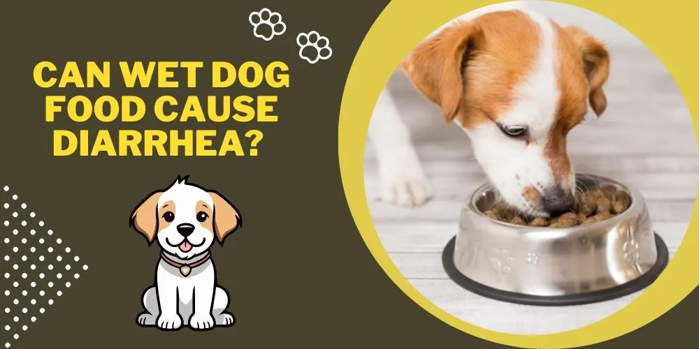 Can wet dog food cause diarrhea