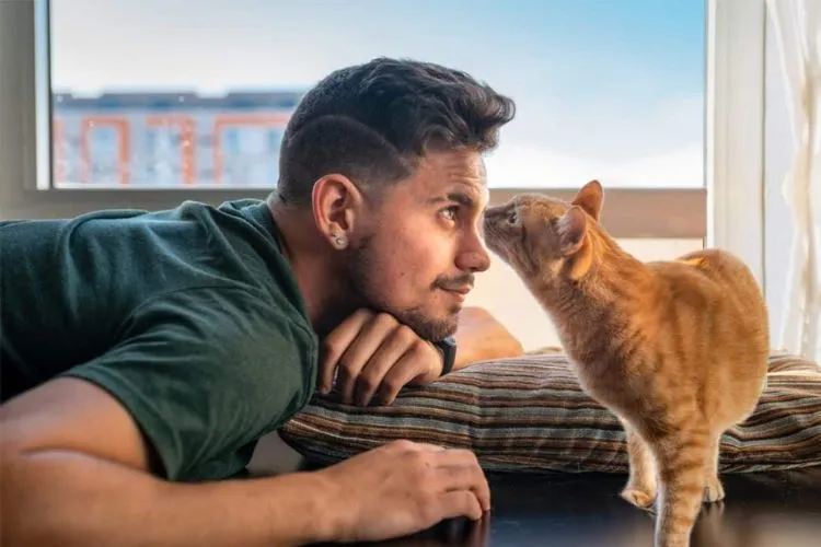 Why does my cat sniff my eye? Detailed Guide