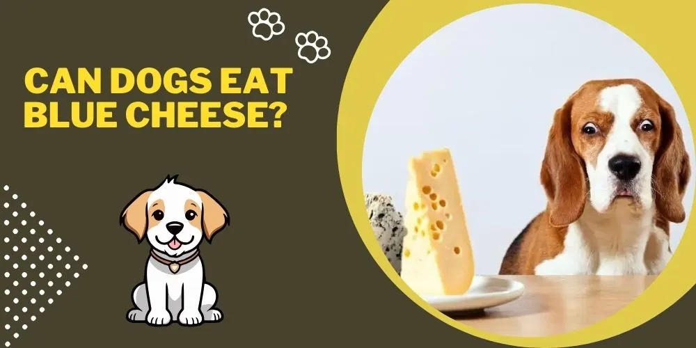 Can Dogs Eat Blue Cheese
