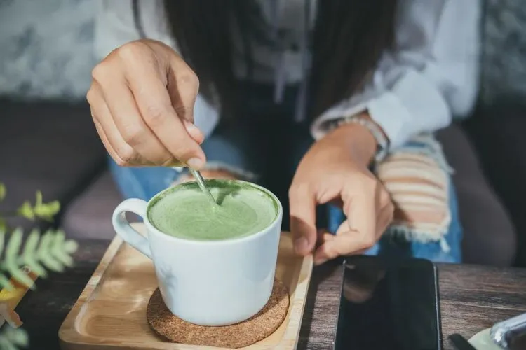 Can dogs eat matcha? all you need to know