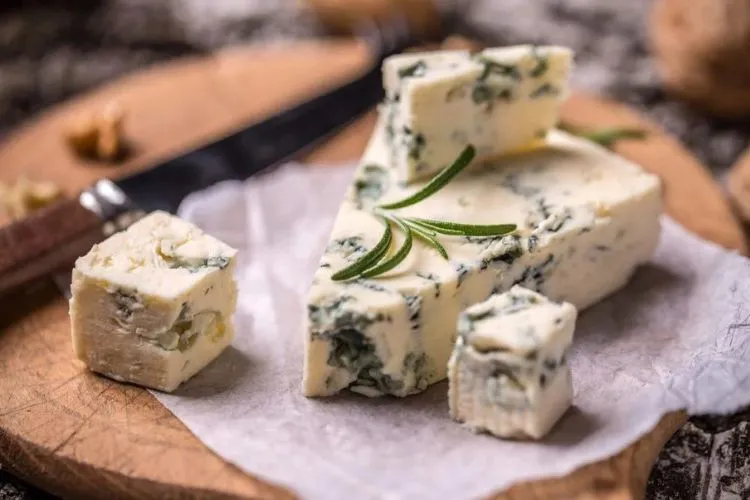 Health Effects of Blue Cheese on Dogs